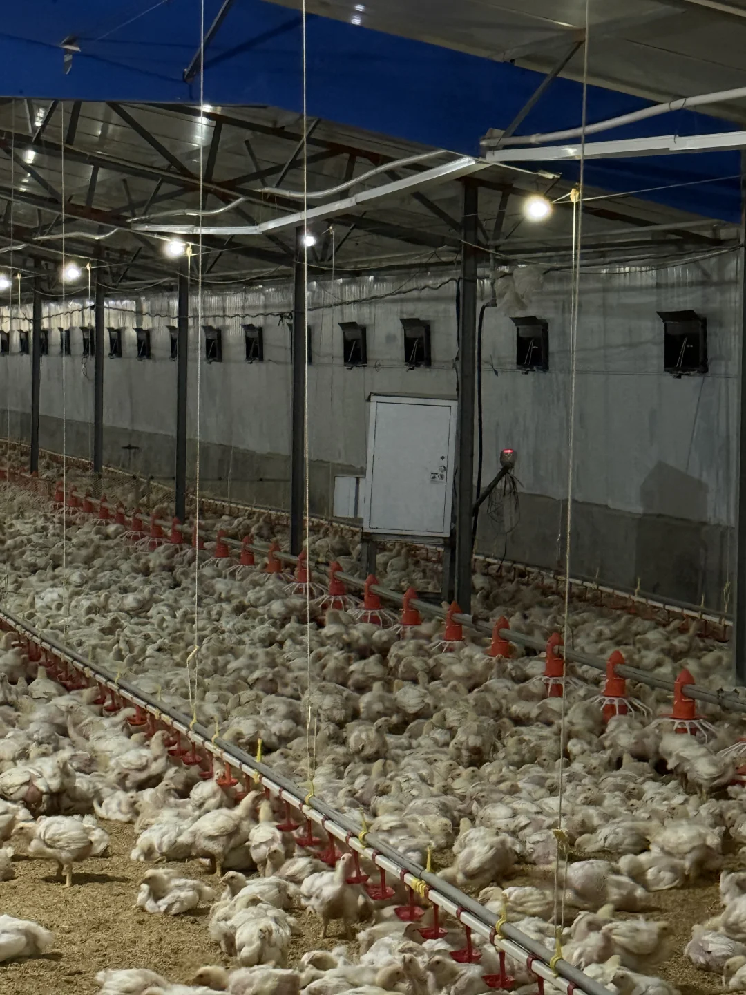 农业暖风机！加热器！