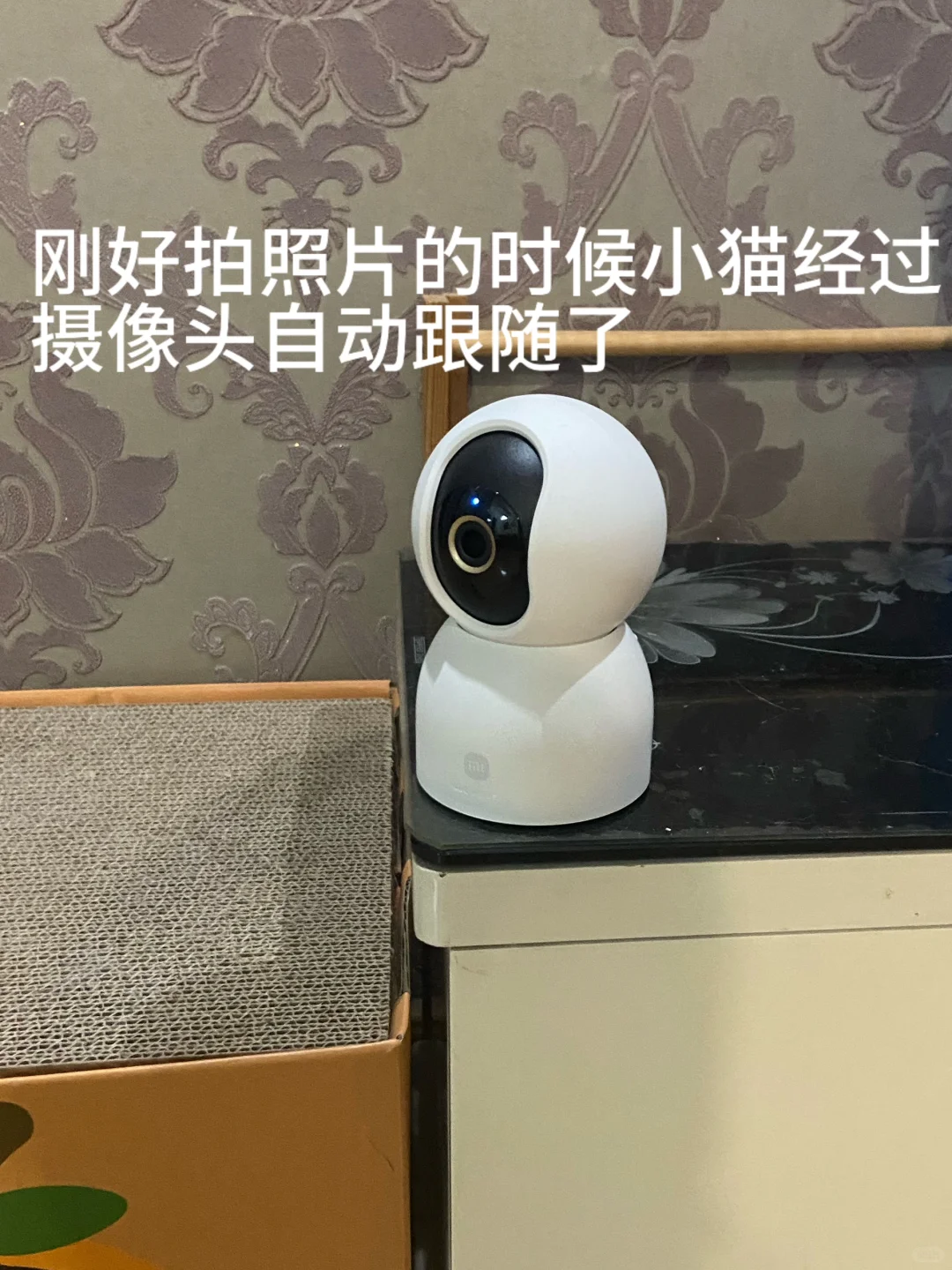 小米摄像头C700真的好用吗？