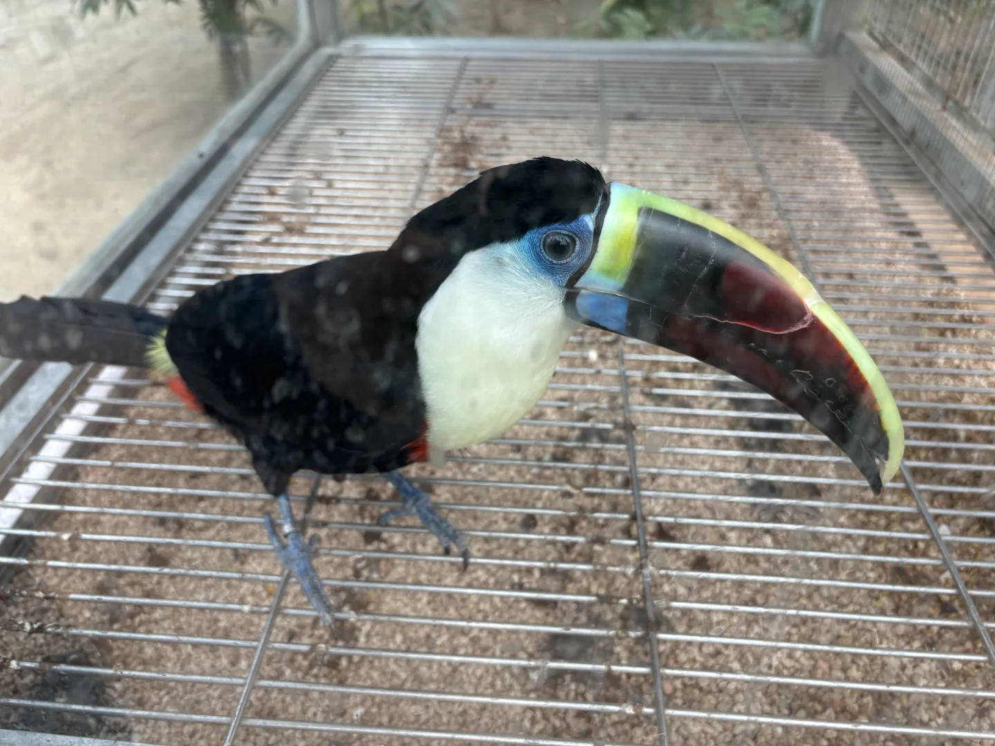 北京博物馆分享第二十九站—北京地热博览馆！