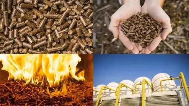 探索生物能源和地热能的潜力