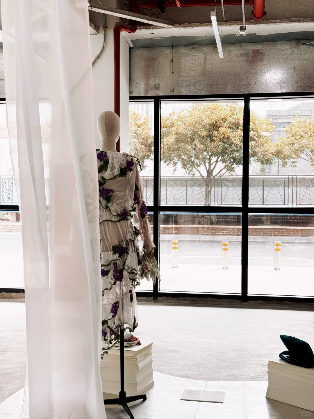 时髦精们集合啦