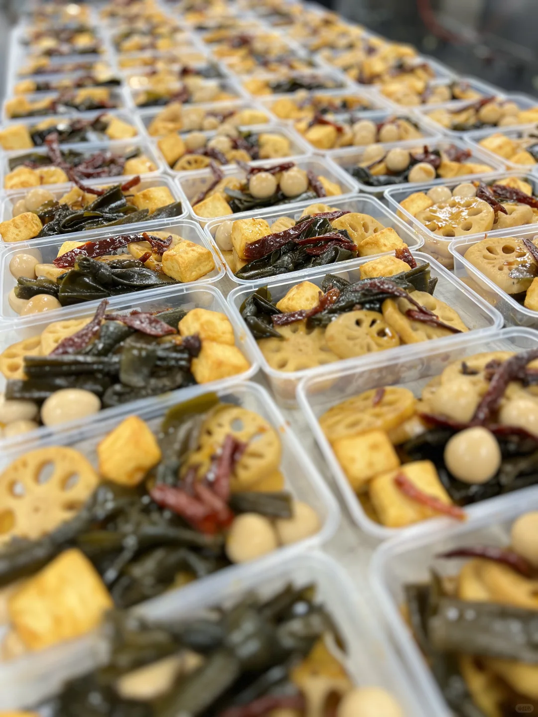 ?【重生之我在阿德莱德开食品厂】?