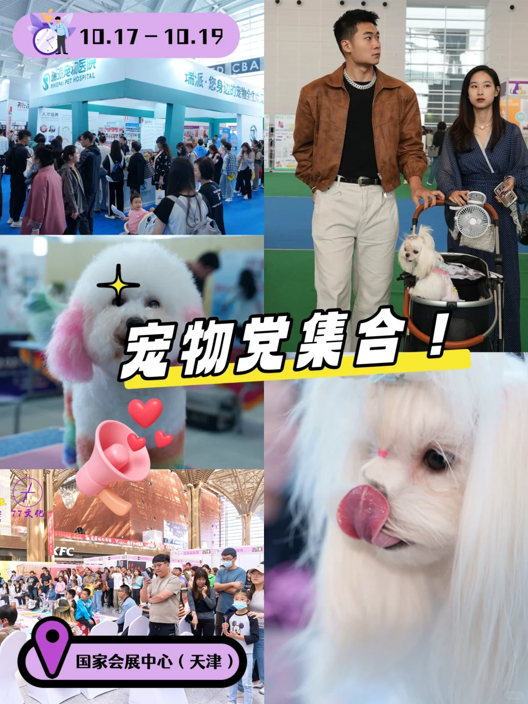 第三届趣宠会定档！天津10.17带毛娃冲