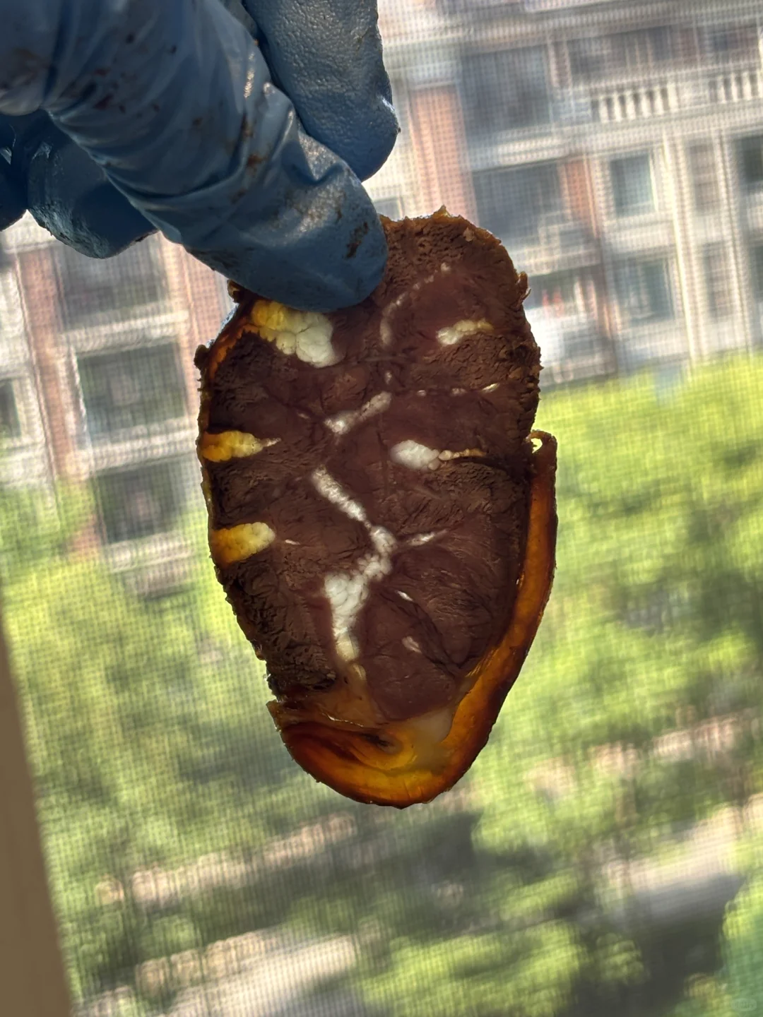 怎么会有这么好吃的酱牛肉！