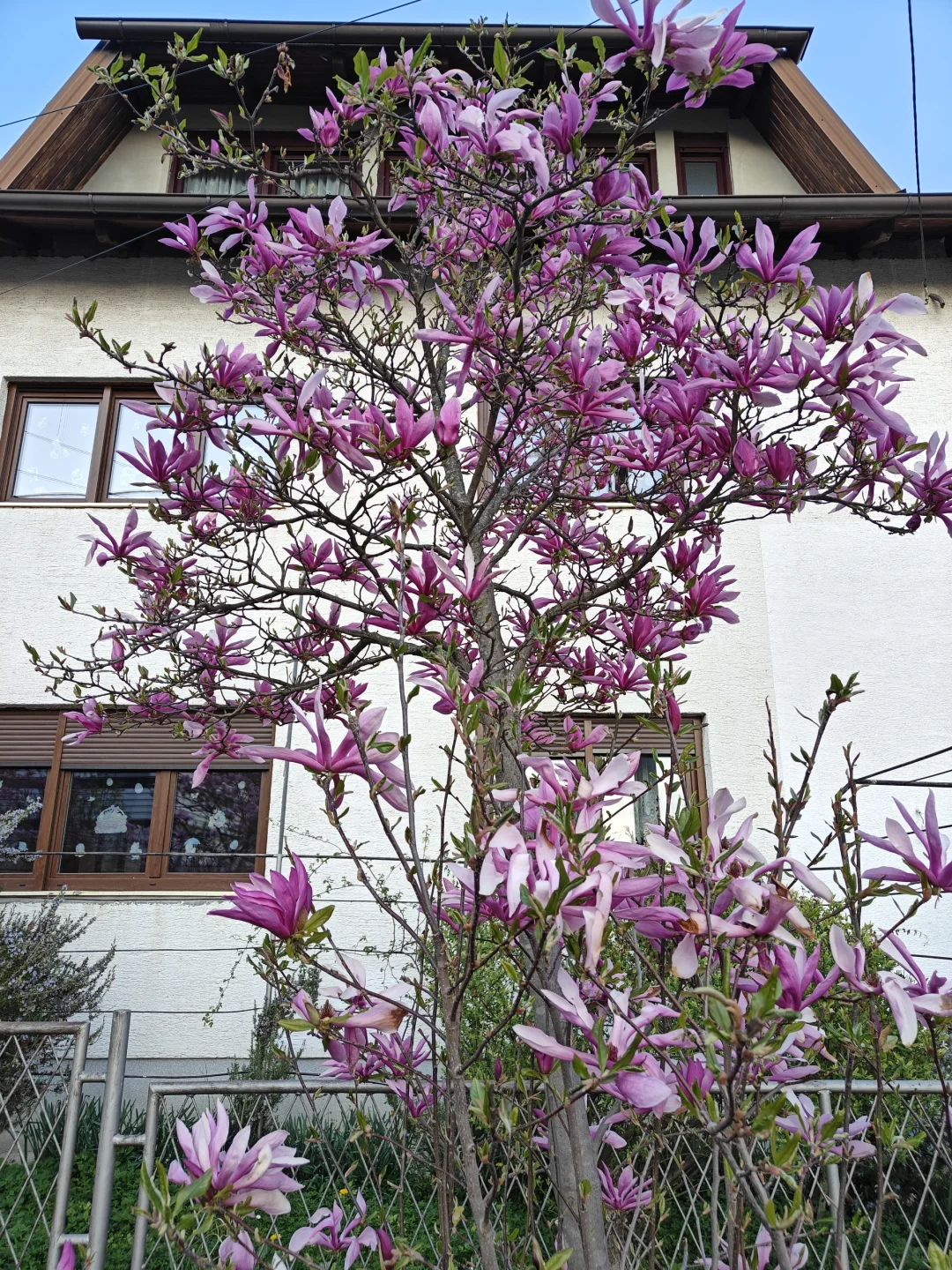 西门子能源欧洲供应商大会 2025 萨格勒布