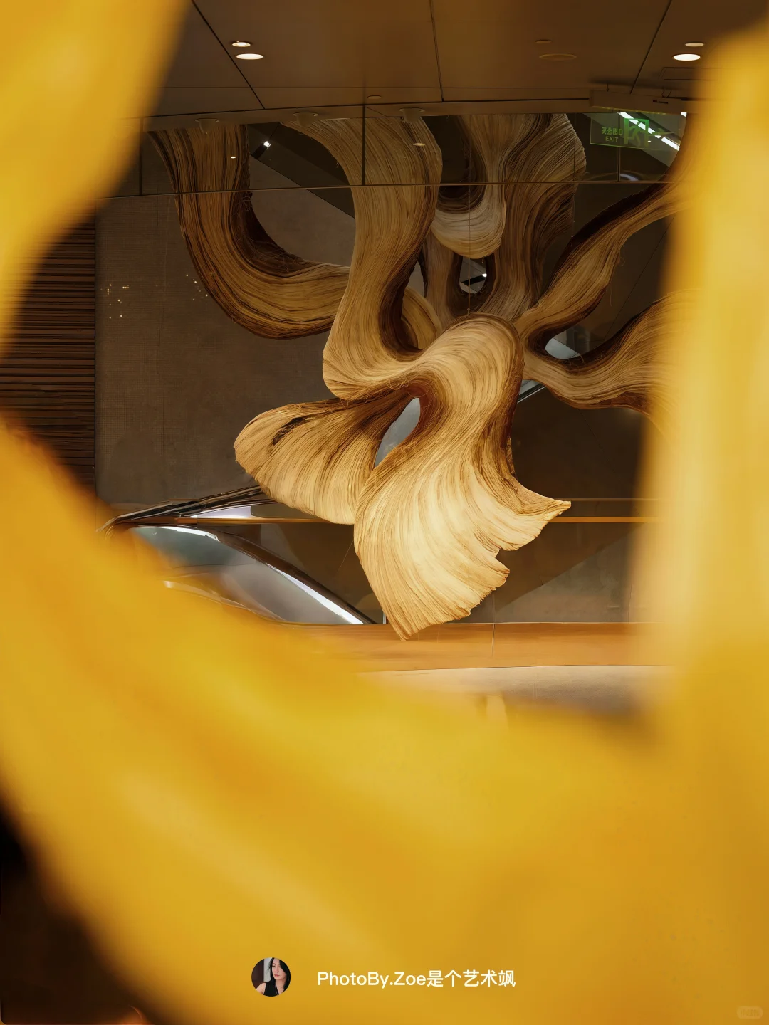 ?被惊艳到挪不开眼的艺术展❗️