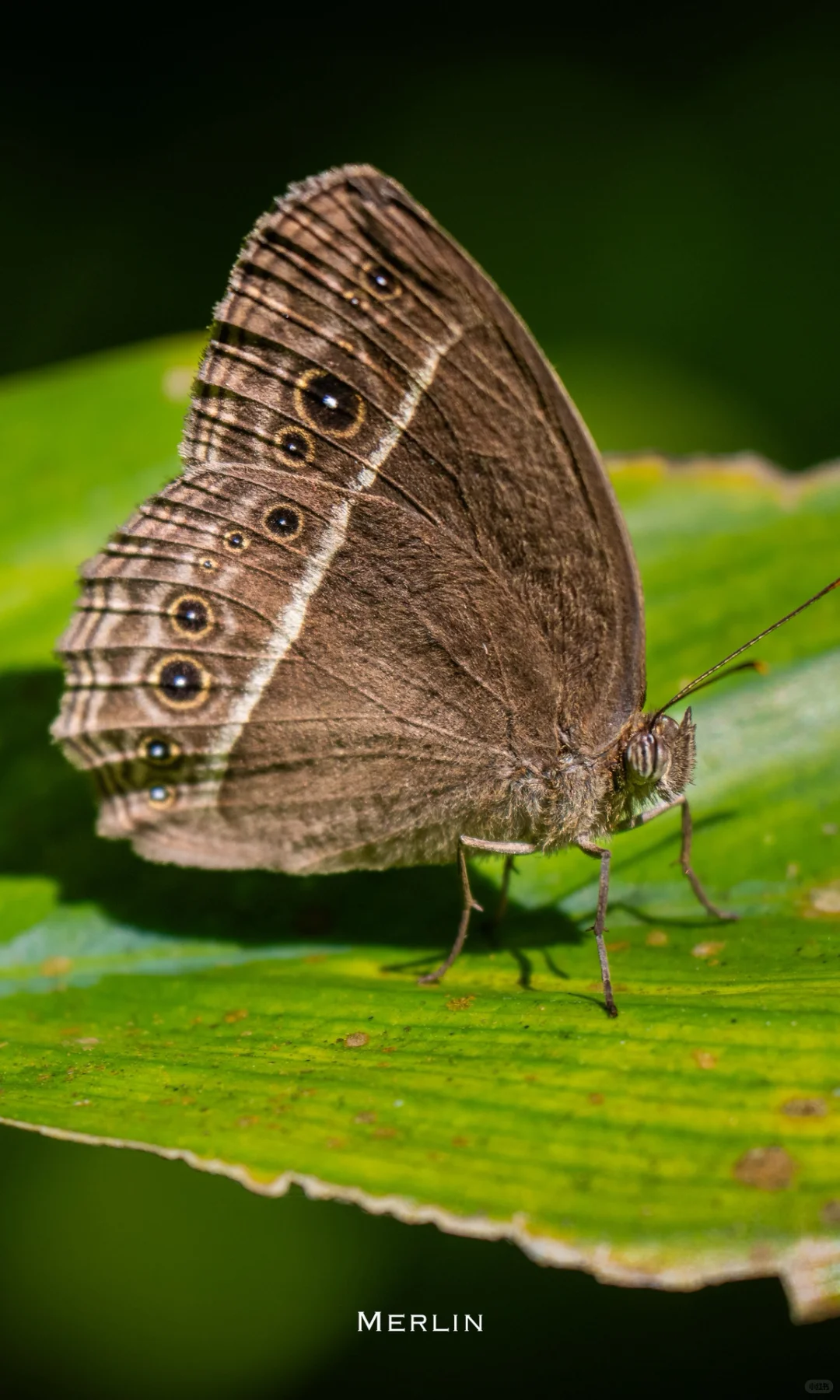 我用索尼a6700拍的照片
