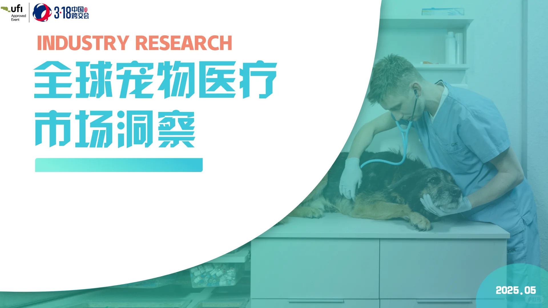 全球宠物医疗跨境电商市场洞察