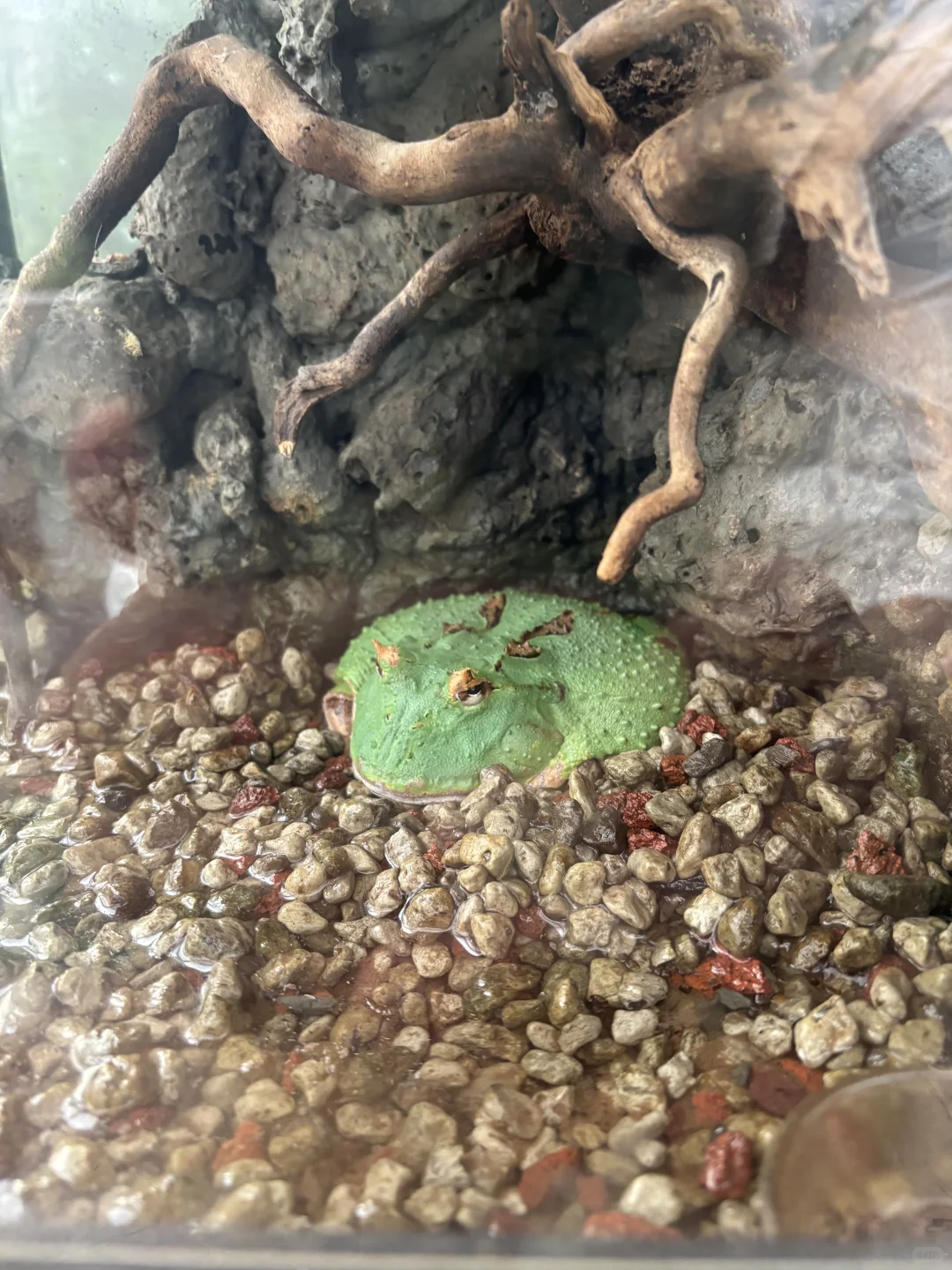 北京博物馆分享第二十九站—北京地热博览馆！