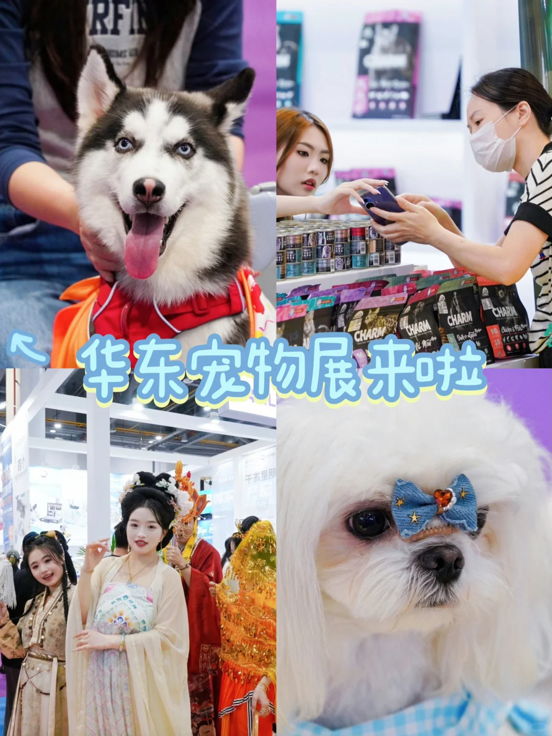 冲!第六届华东宠物展来杭州啦!