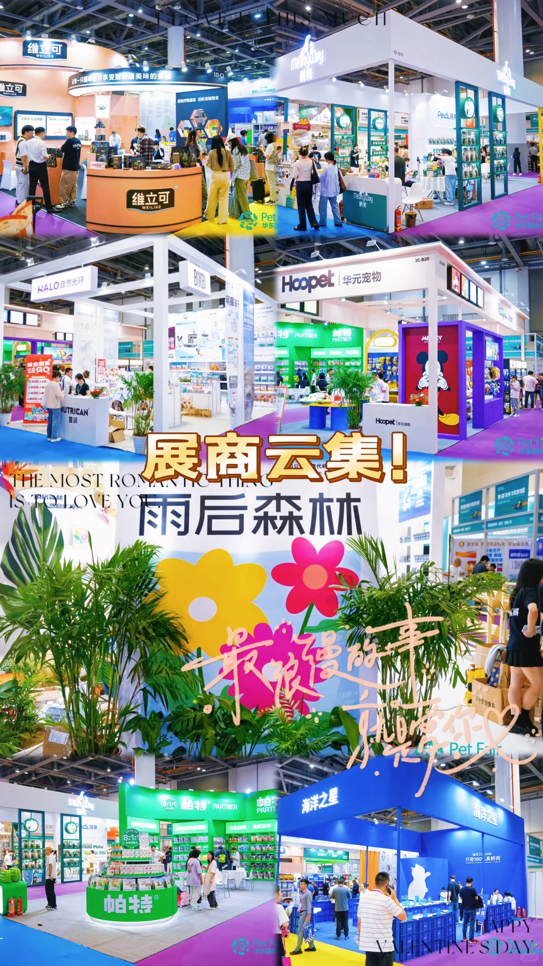 ?华东宠物展种草｜铲屎官们的狂欢盛典来啦！