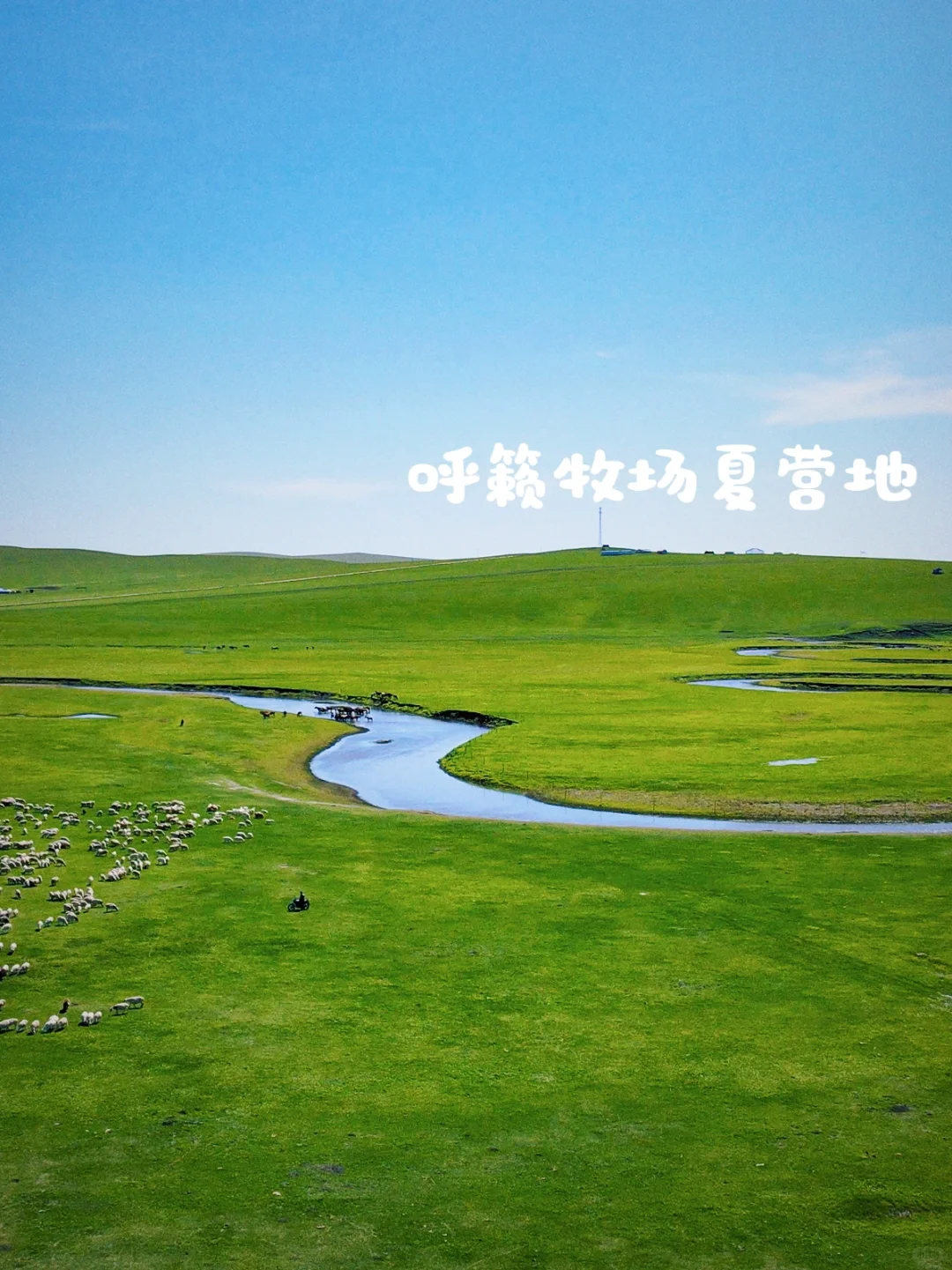 来自草原的90后牧场主说一说羊肉行业的秘密