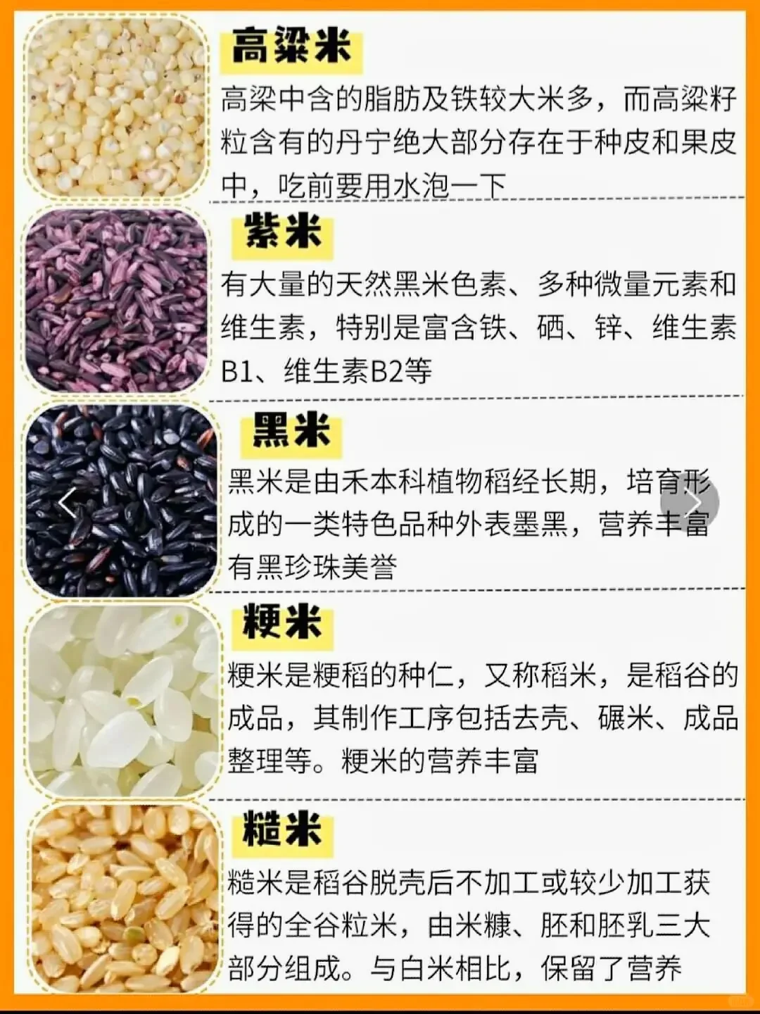 谷子≠五谷，25种五谷杂粮科普