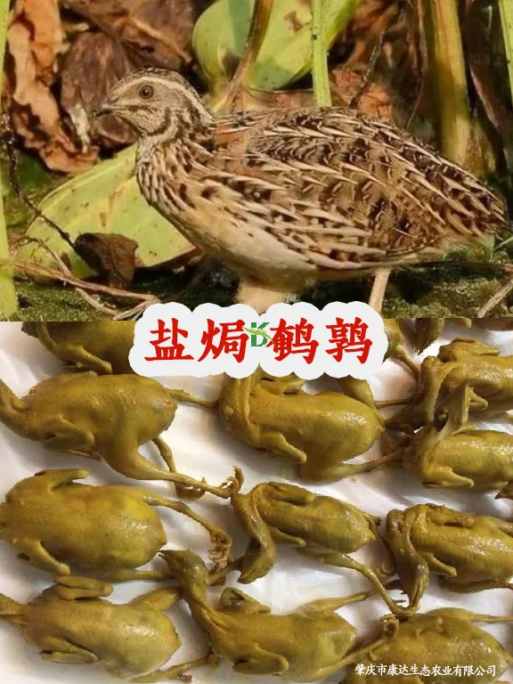 预制菜?荣获