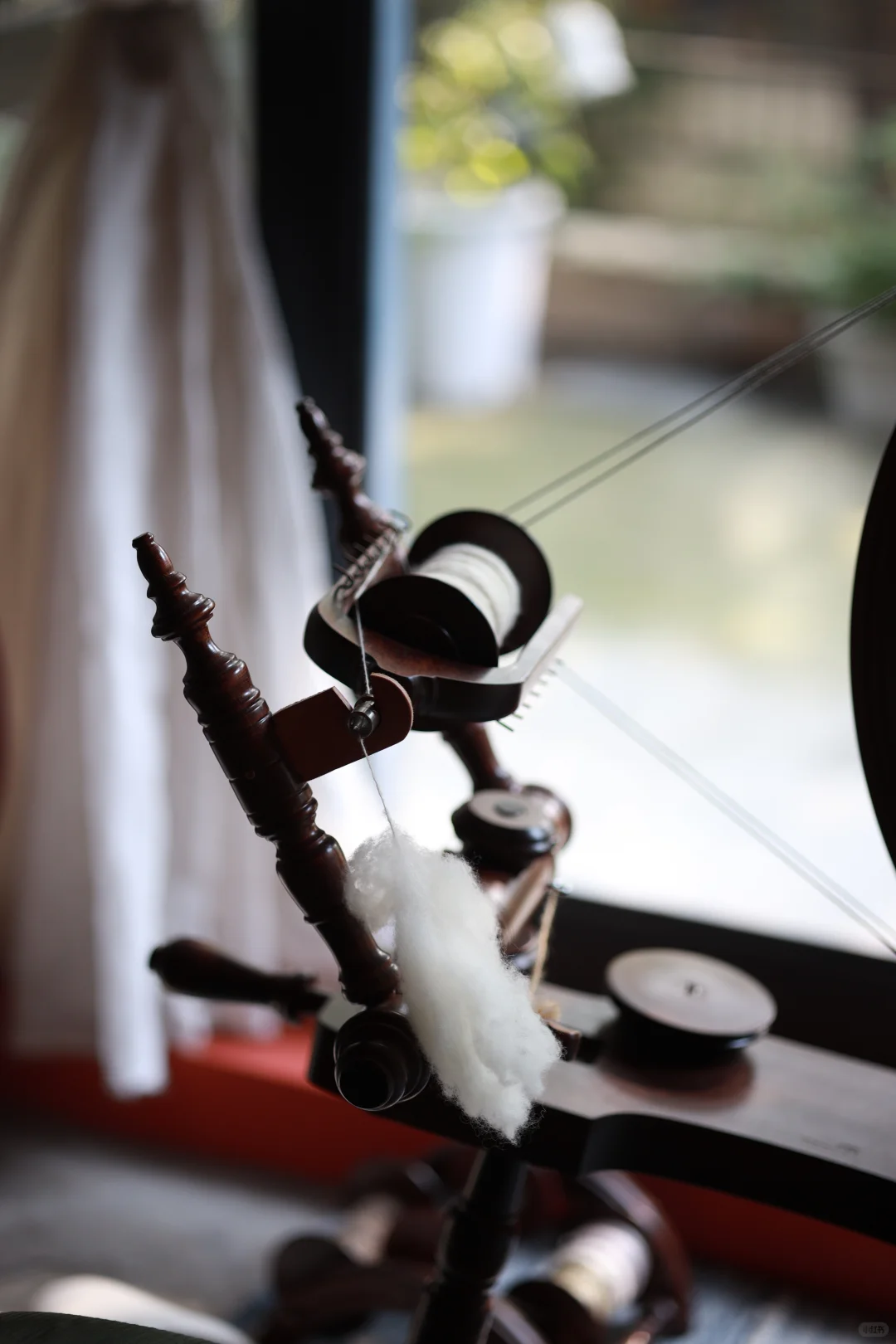 今日纺国产绵羊毛～