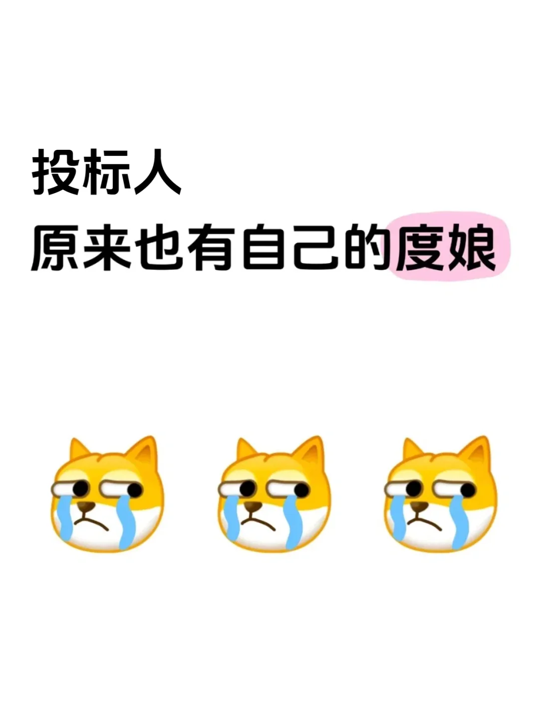 投标人原来也有自己的度娘