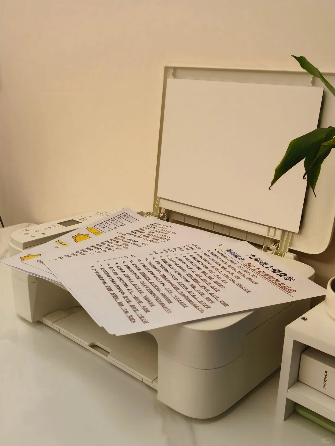 用了十天，这打印机真的超出预期❗️