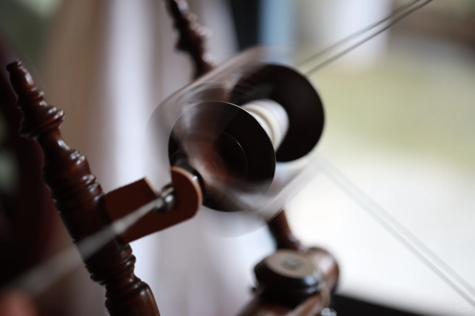 今日纺国产绵羊毛～