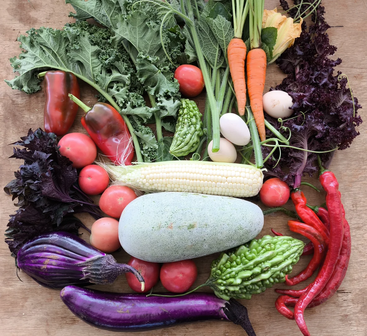 自从在农场租了菜地,我们实现绿色蔬菜自由