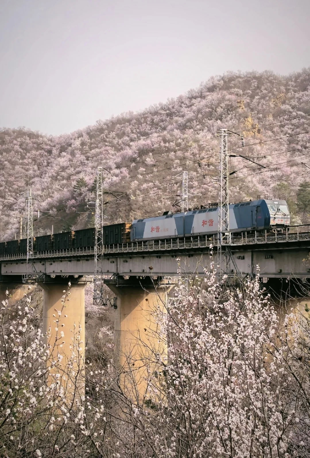 大秦铁路的投资价值?