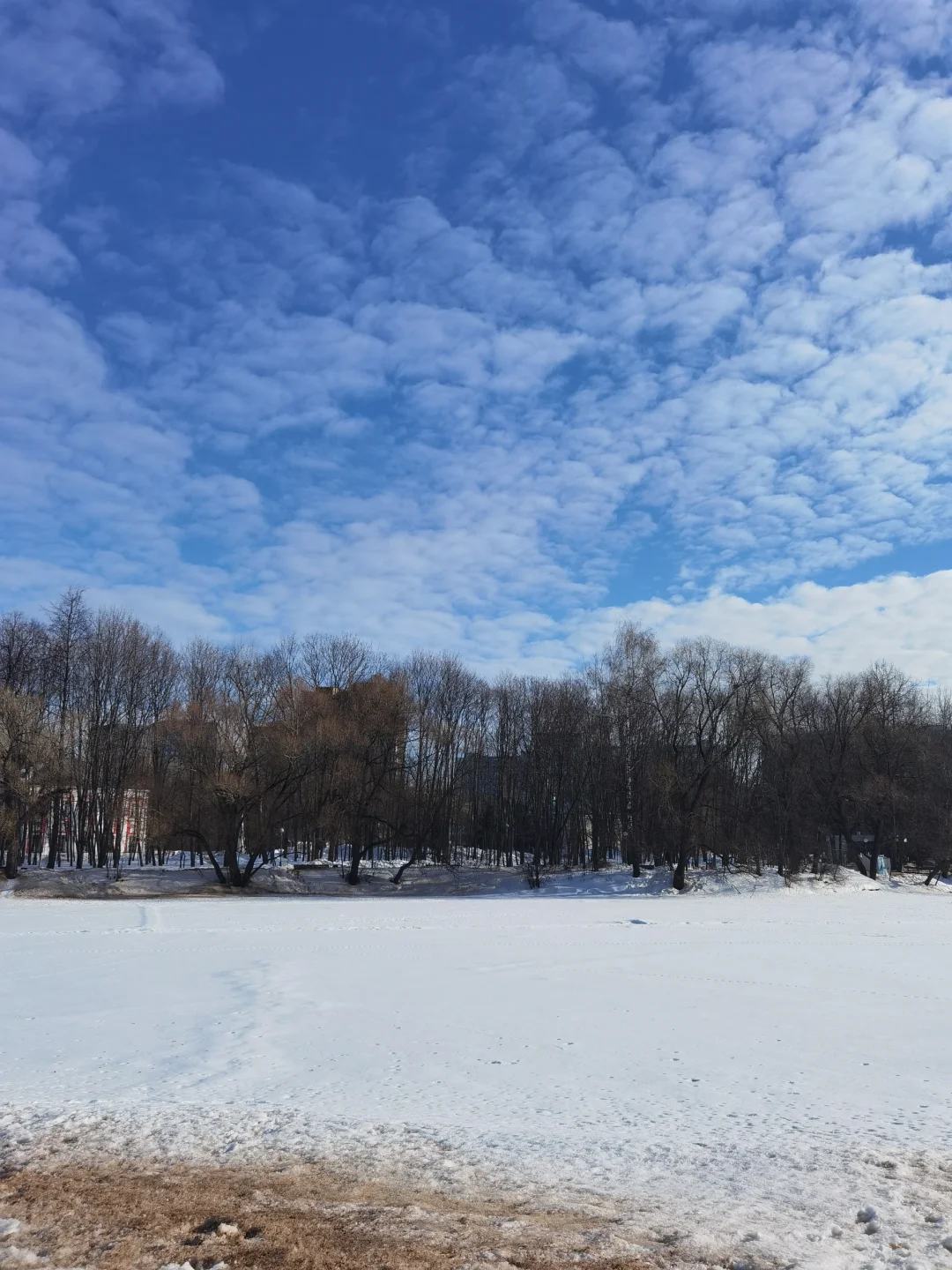 莫斯科废钢有色金属设备论坛