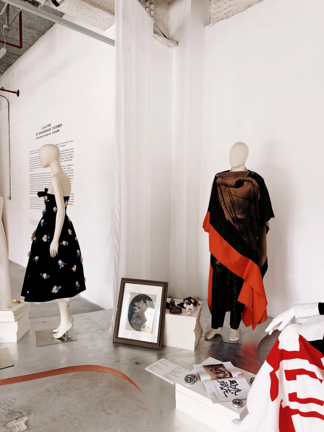 时髦精们集合啦