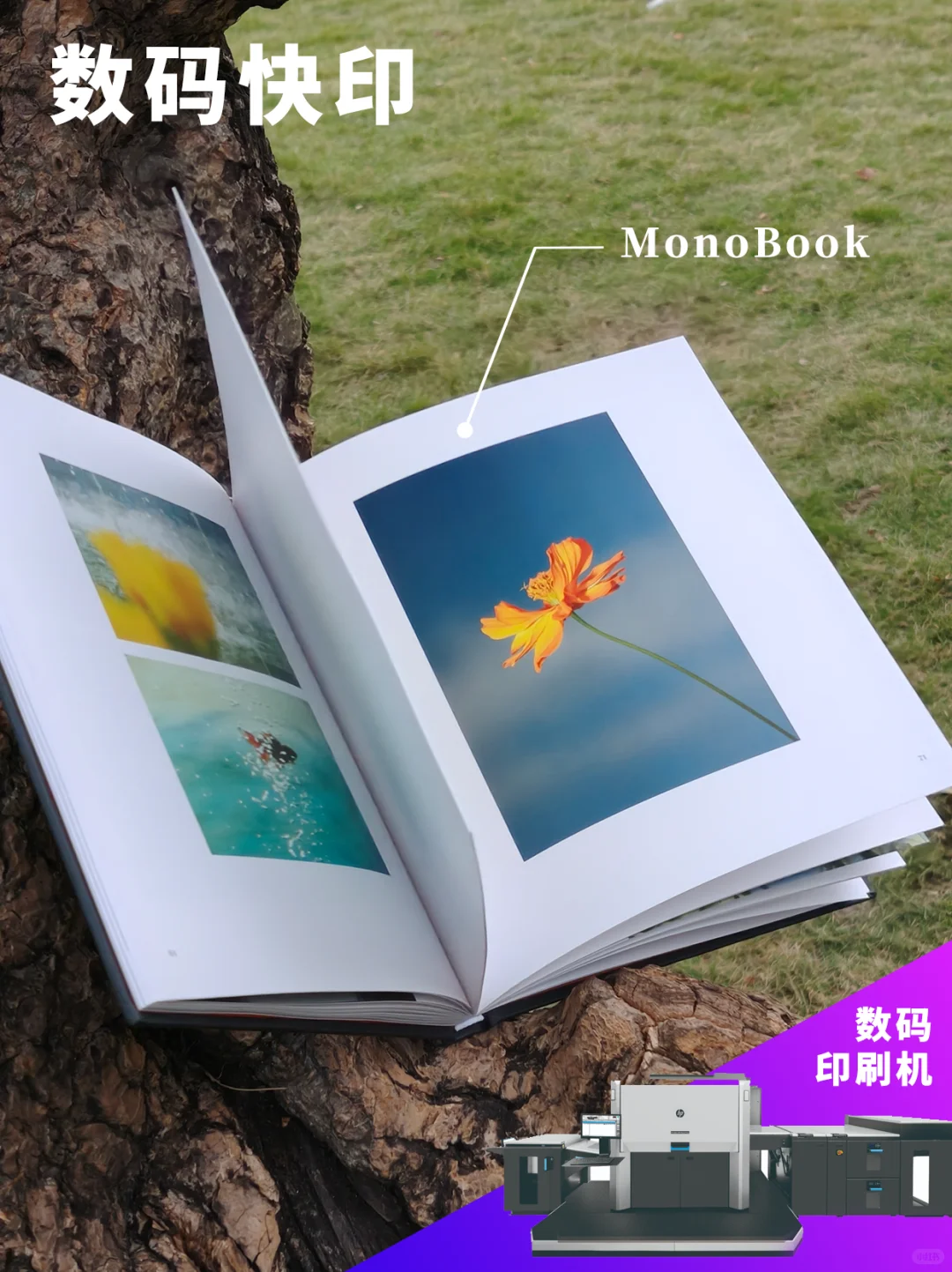 做照片书or摄影集，哪种印制方法适合我？