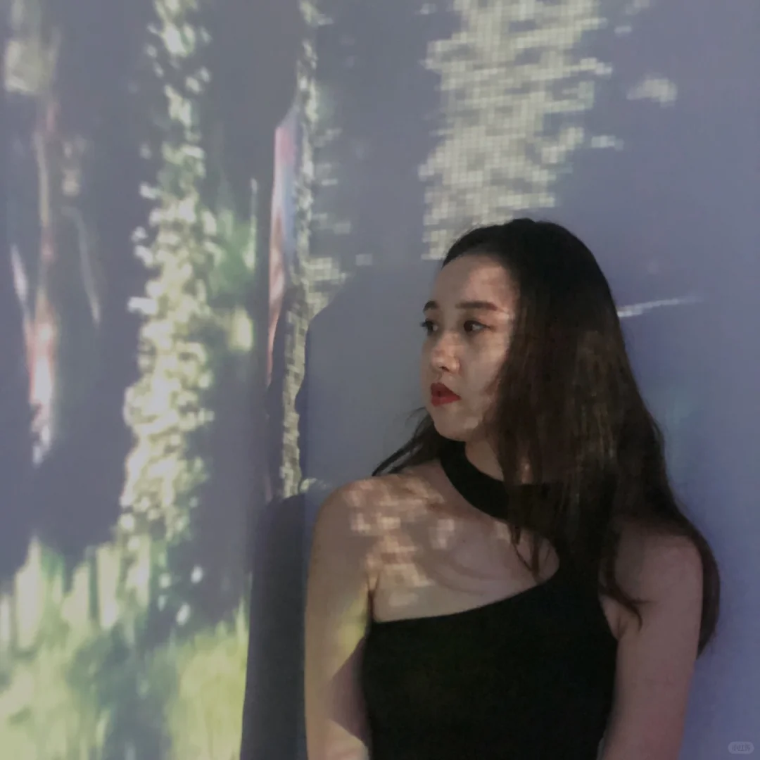 深圳工业展览区