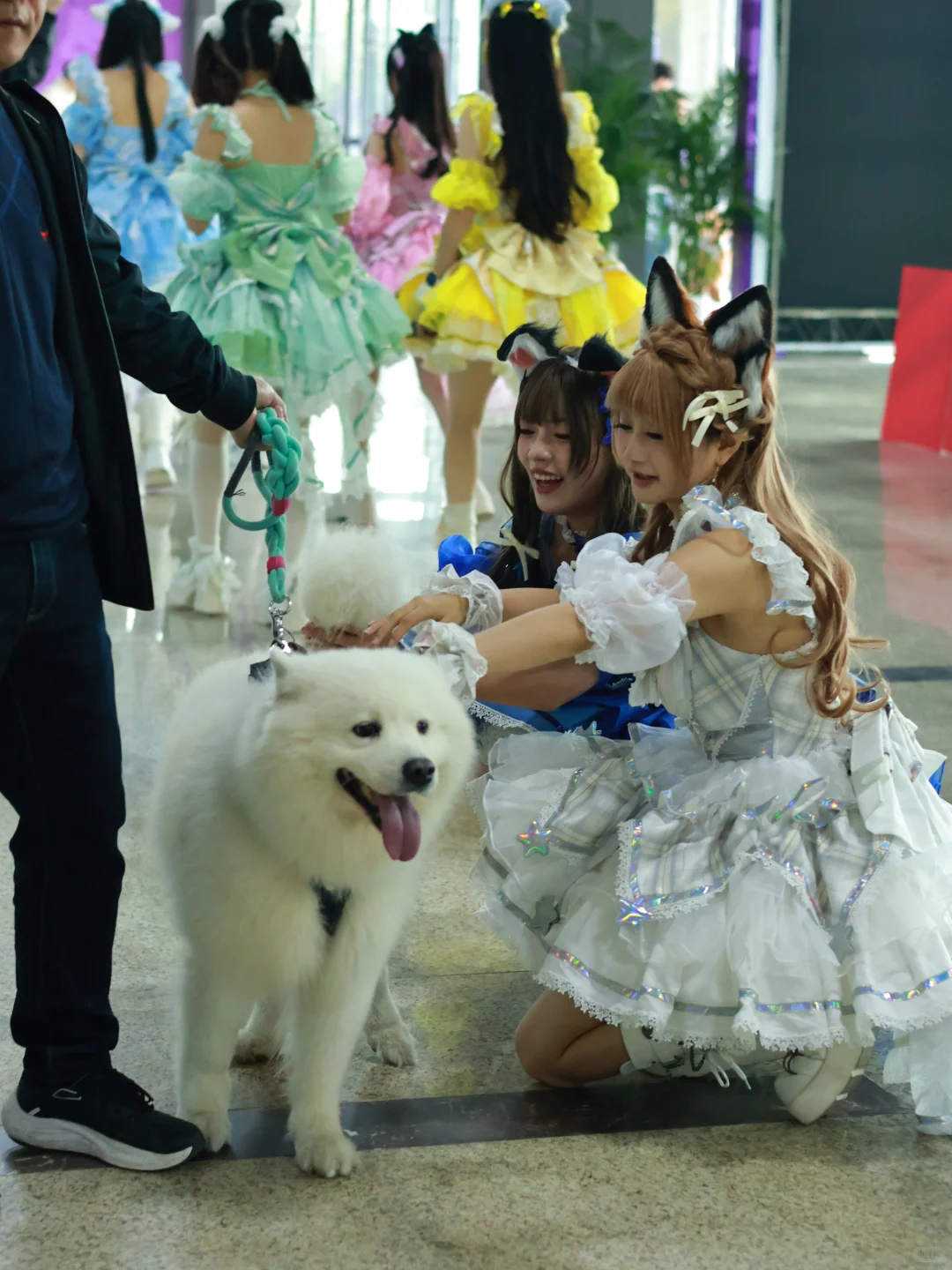 泸州宠物博览会