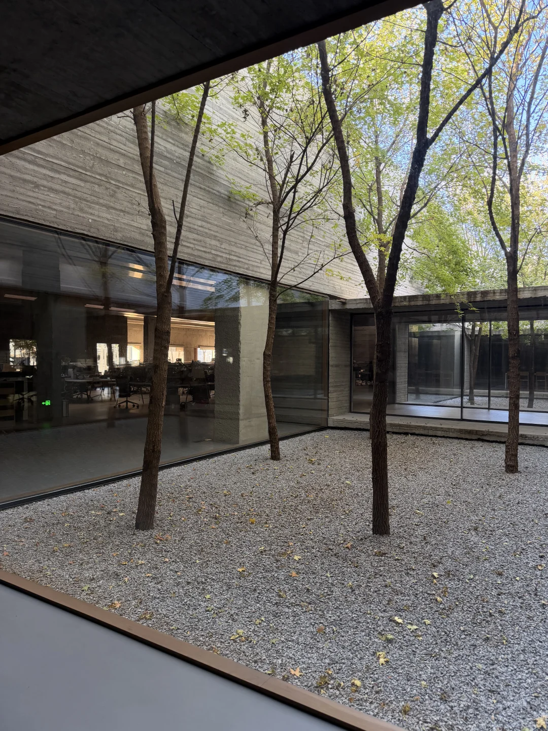 看展失败，变成工业遗产更新项目考察