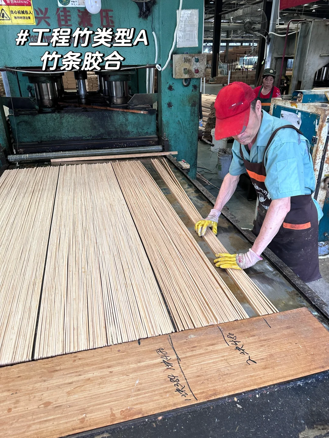 竹子的前世今生