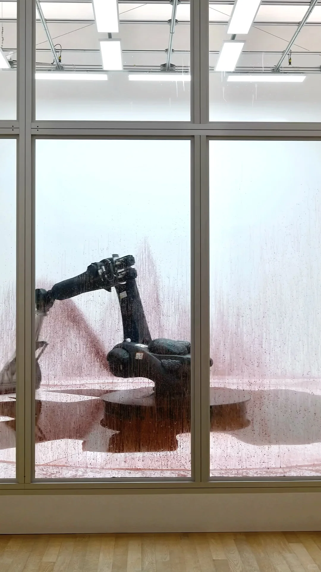 PLOG|周末,在循环中工作,也在循环中醒来