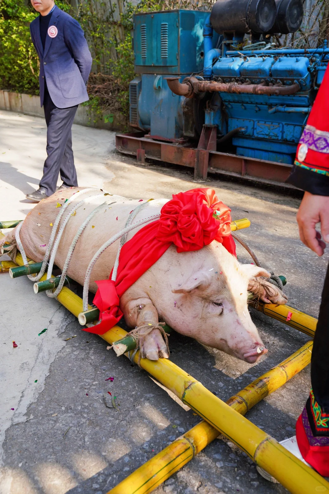贵港餐饮行业促进发展会2024迎新年会。