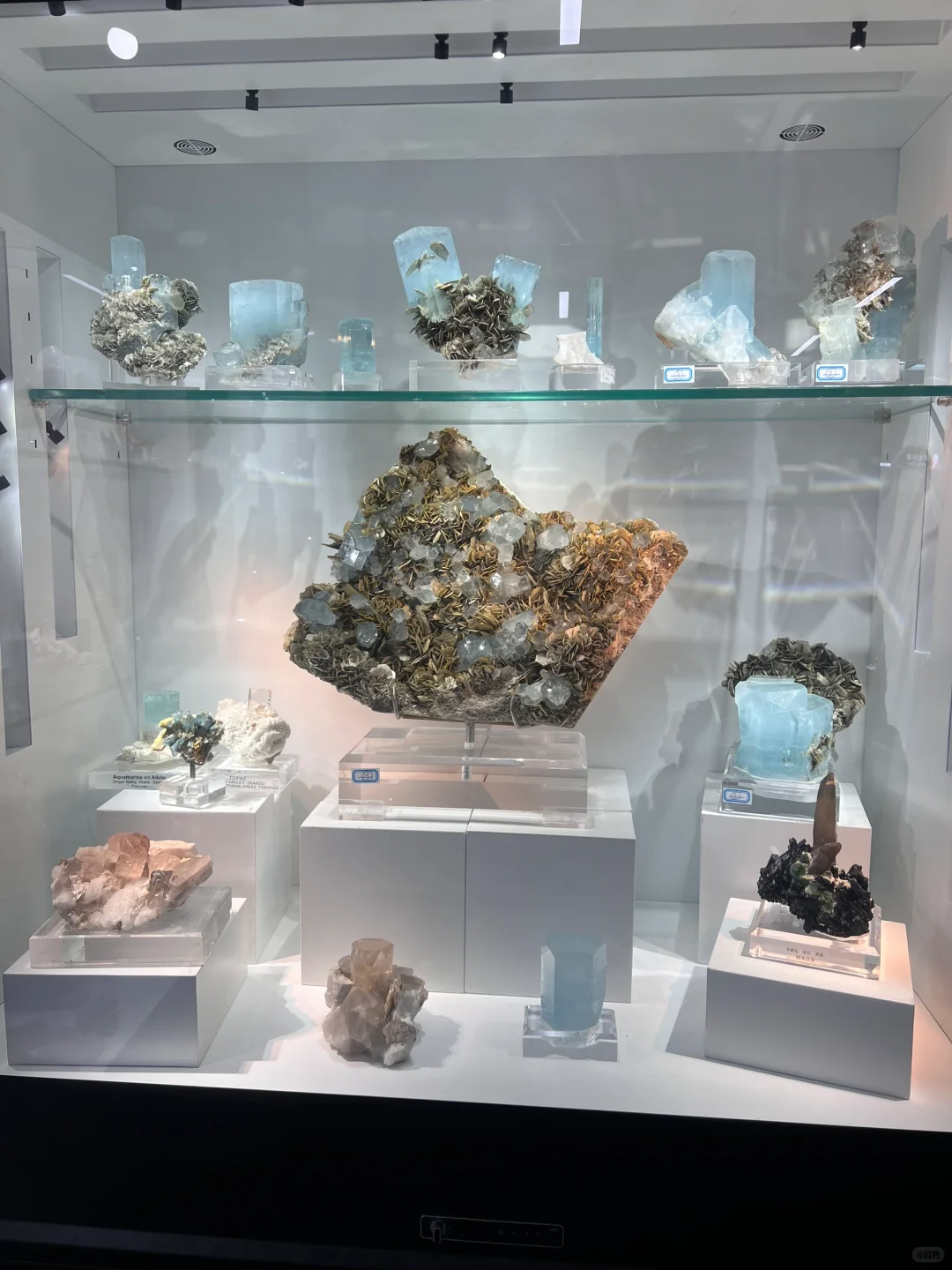 东海国际矿展会