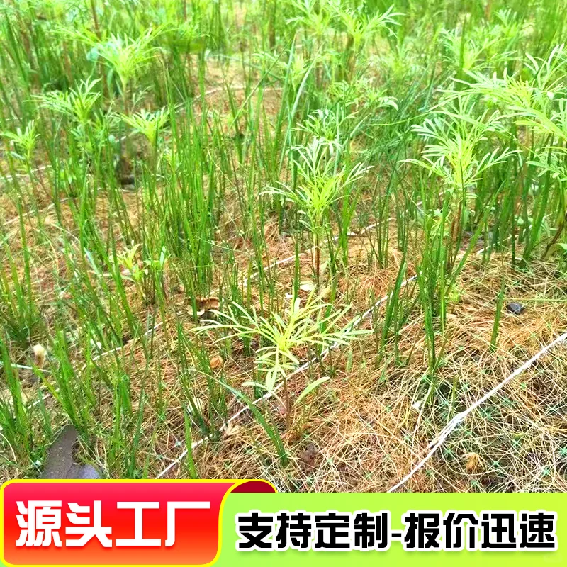 椰丝毯纤维毯护坡新材料