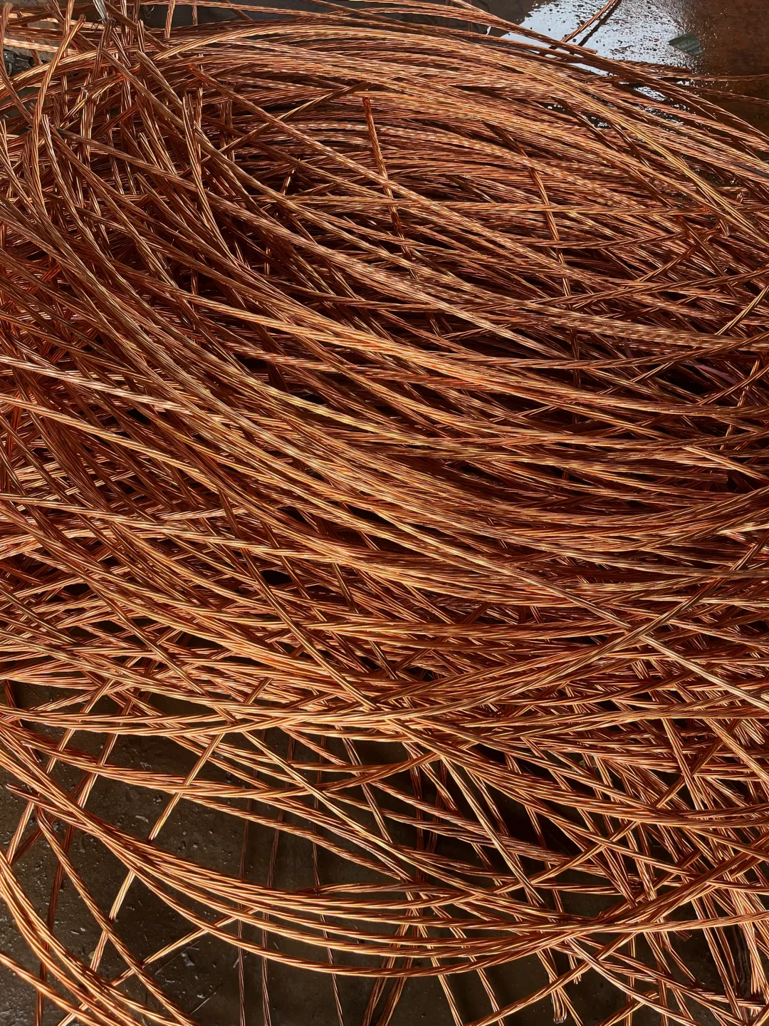 一天废品人一辈子废品人