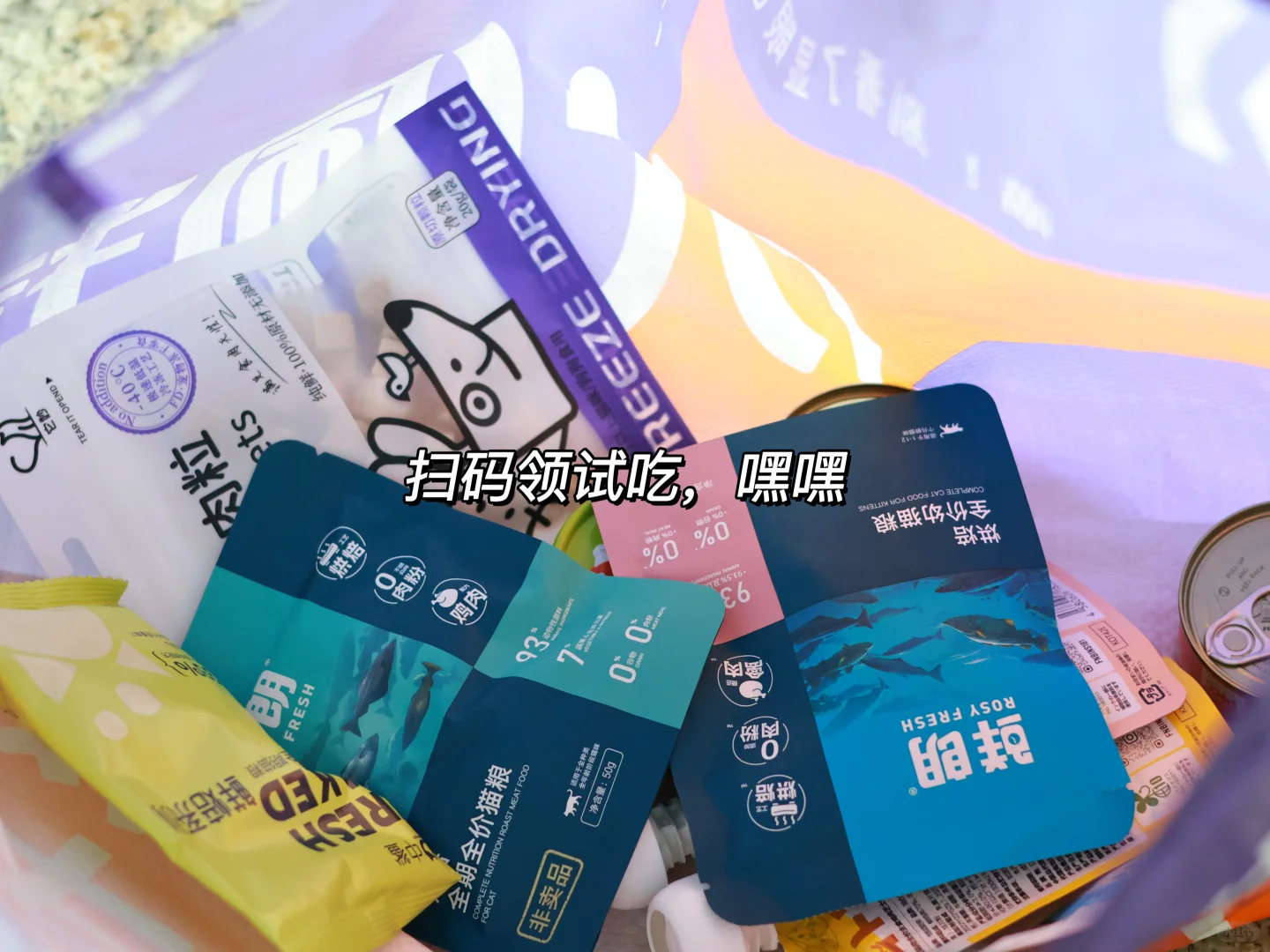 泸州宠物博览会