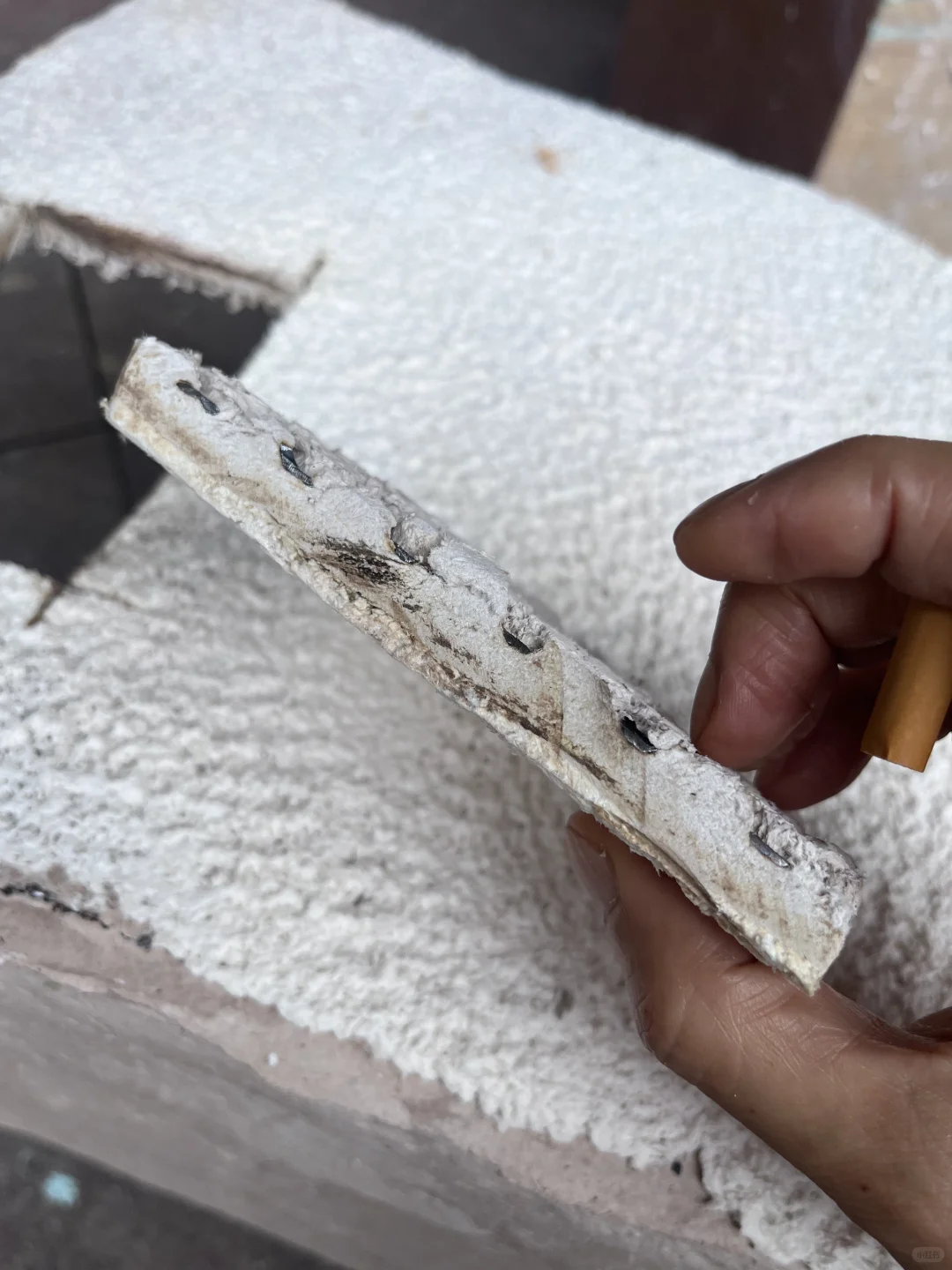 高分子纸浆.生态设计新材