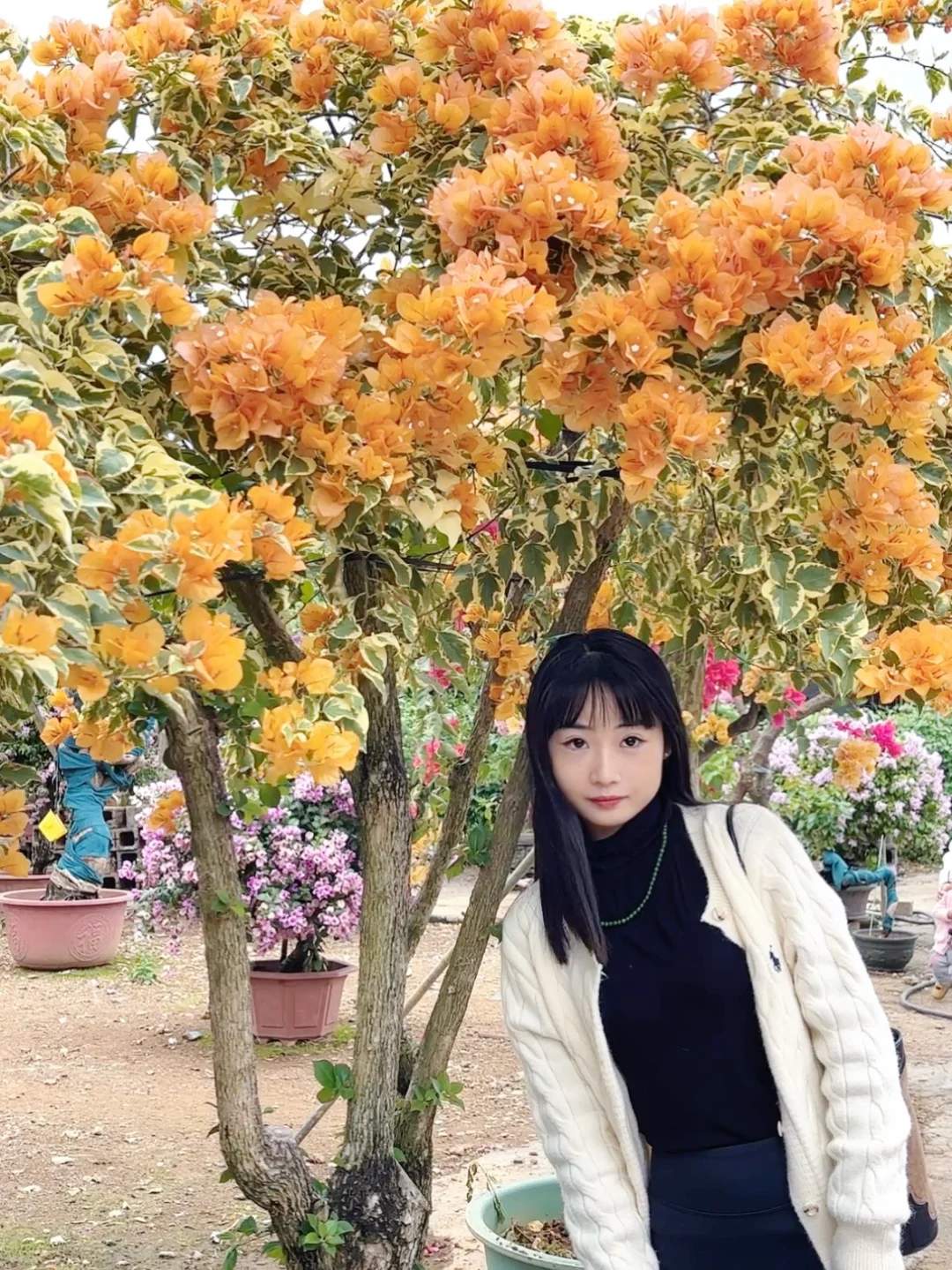 周末不知道去哪？来桂林花展当一天花仙子吧