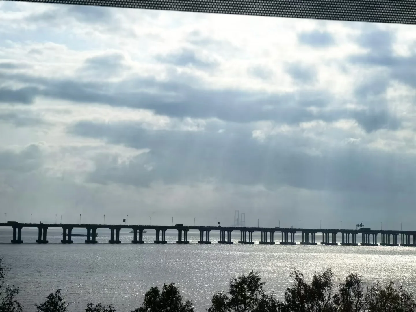 绽放深圳工业展