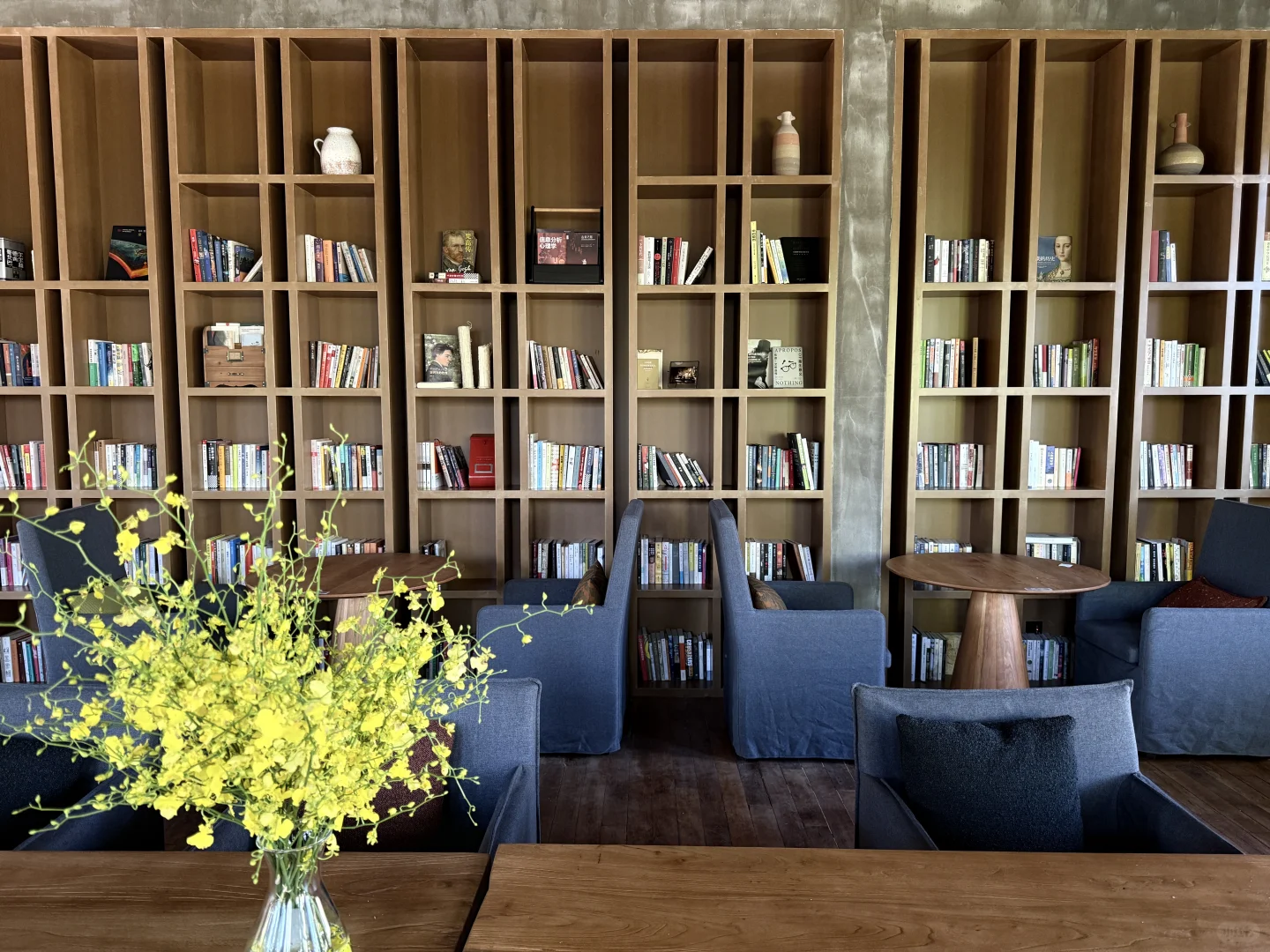 旧厂换新颜-钢架上的绿藤光阴