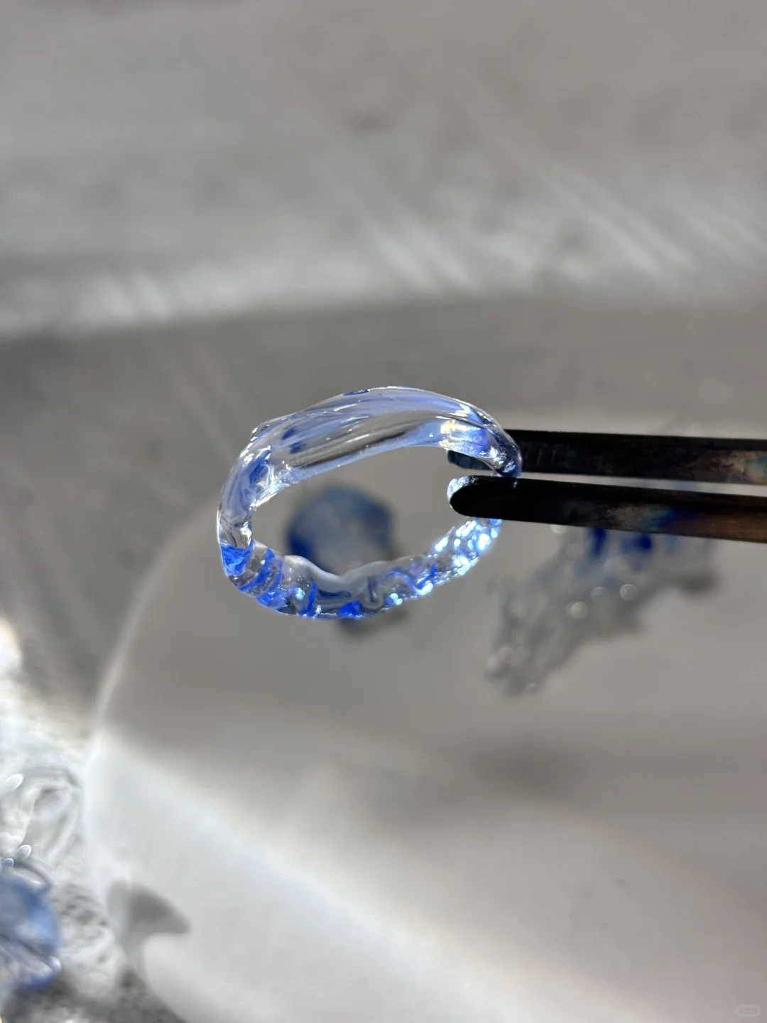 拍到了 我拍到了！！