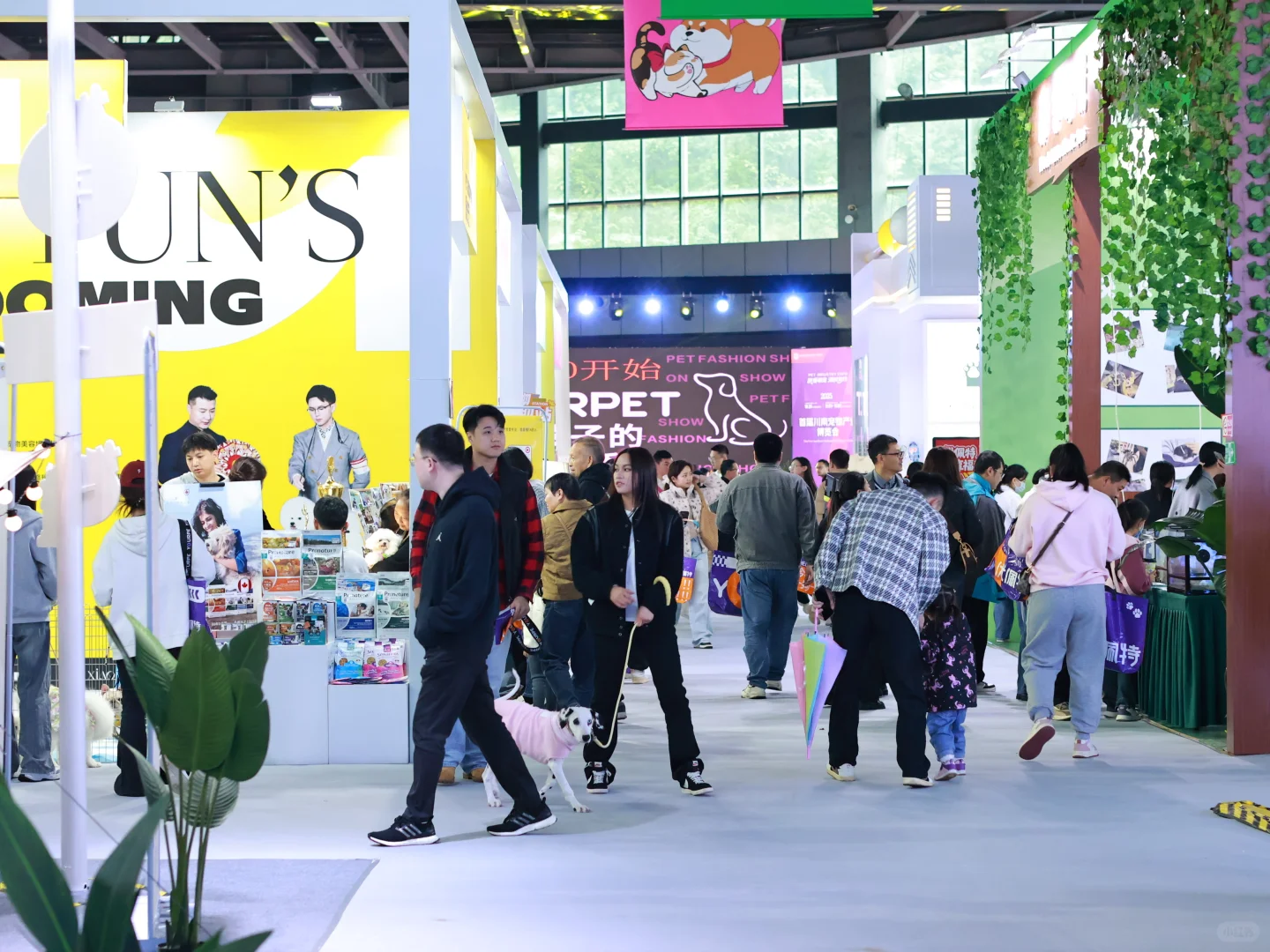 泸州宠物博览会