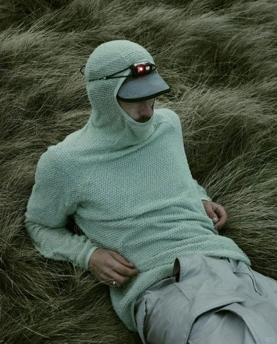 来自 Senchi Designs 的自然见解?