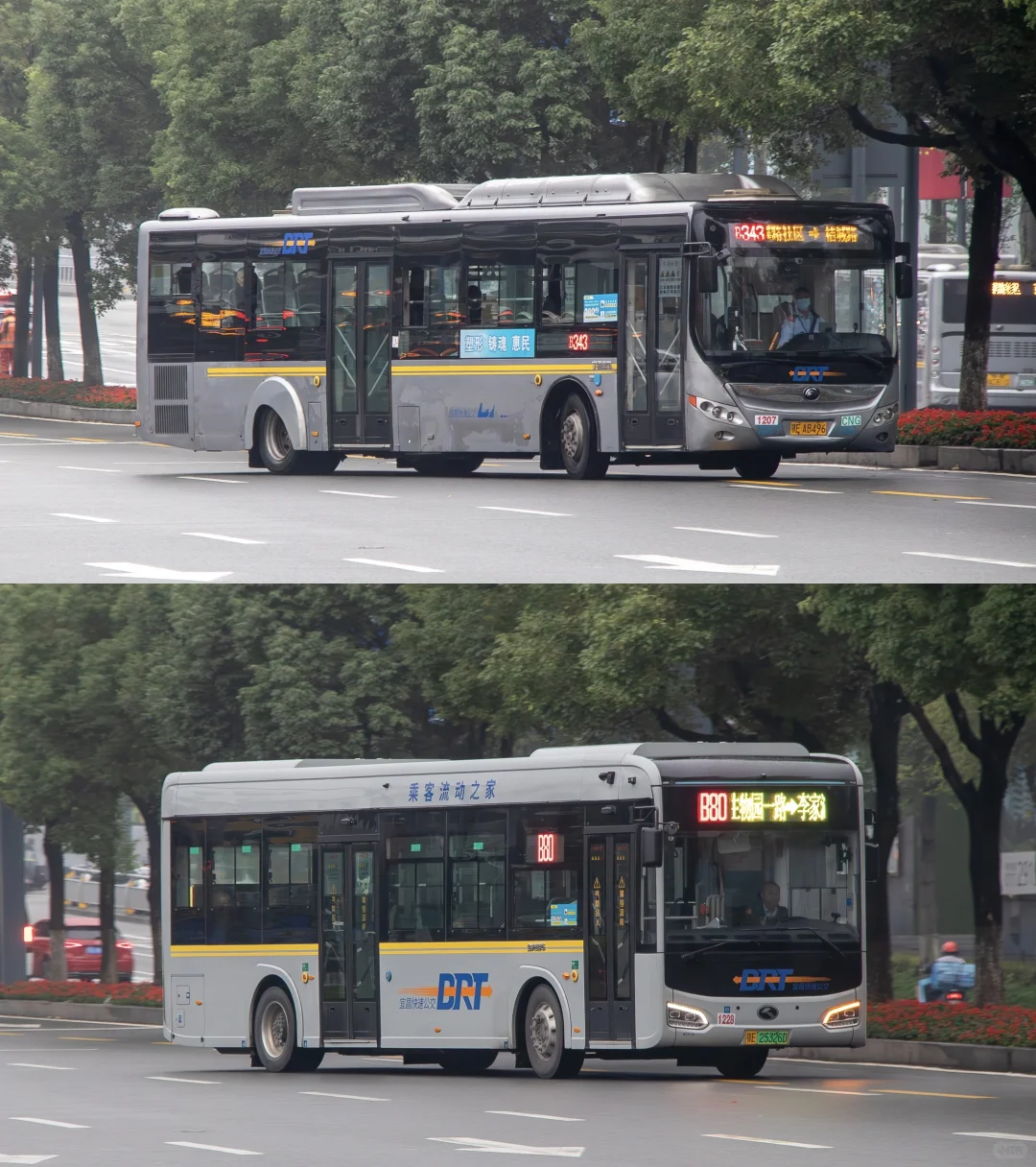 宜昌BRT——暮年CNG铰接 金龙宇通都精彩