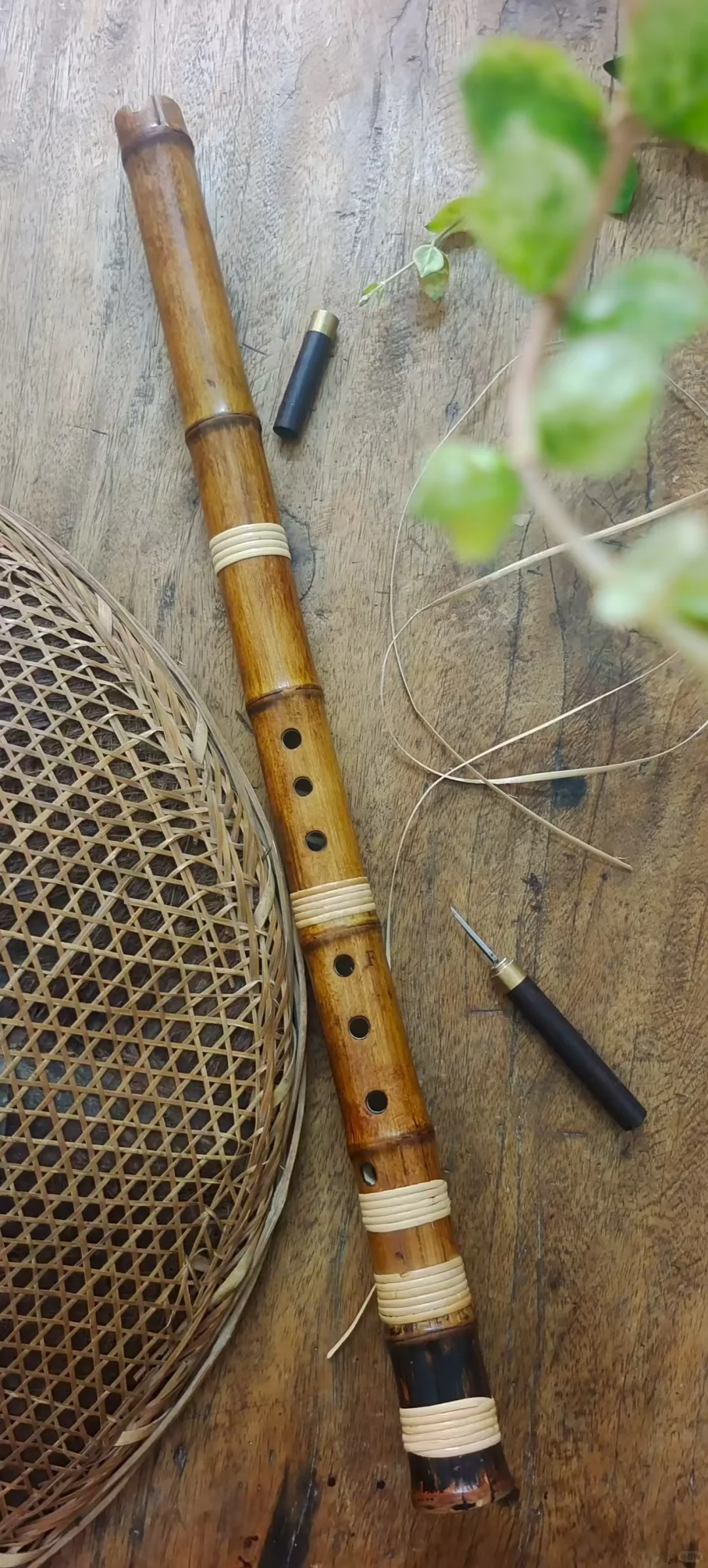 小毛竹大共鸣南箫