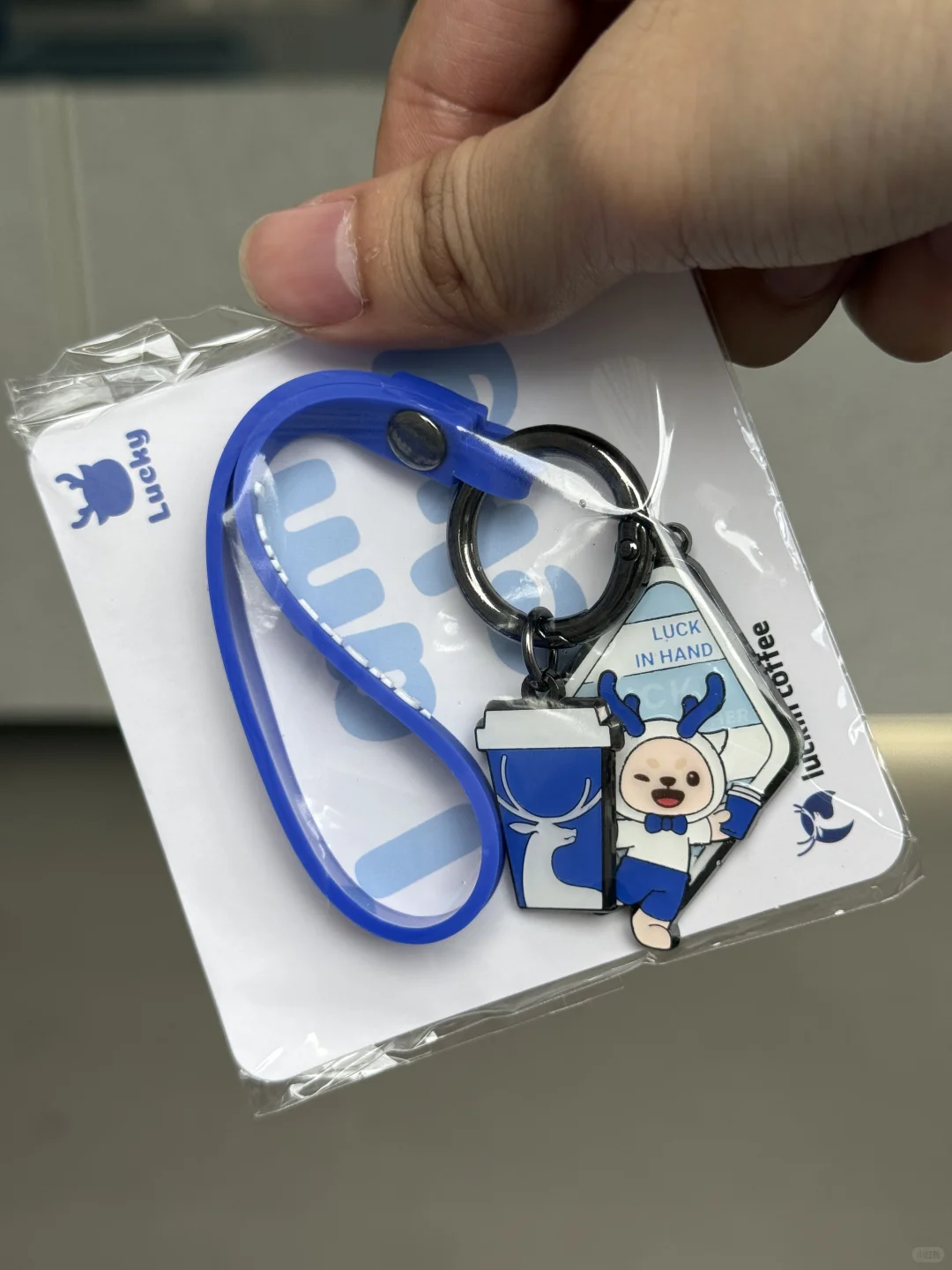 这次是真有｜给瑞瑞蹲厦门咖啡展达人