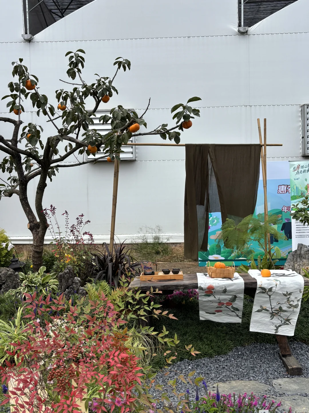 周末不知道去哪？来桂林花展当一天花仙子吧