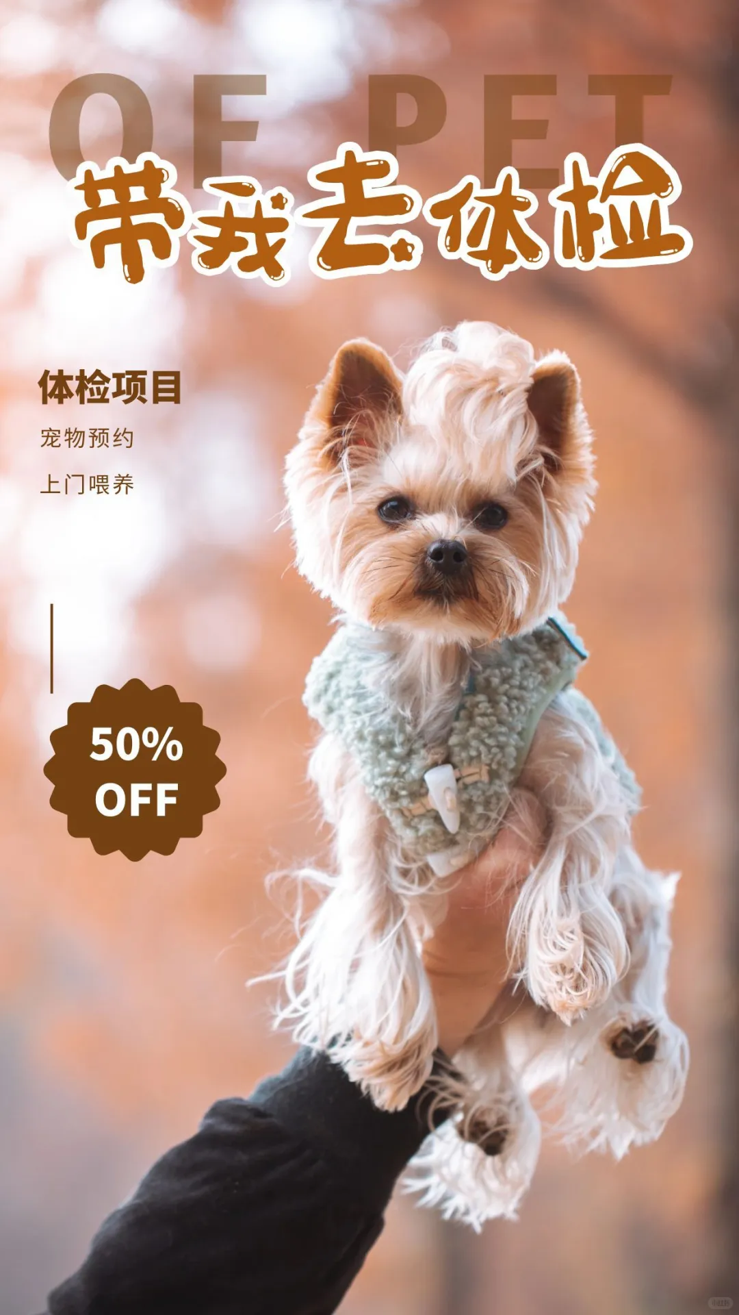 2026一句话说明到家(上门)服务类型功能