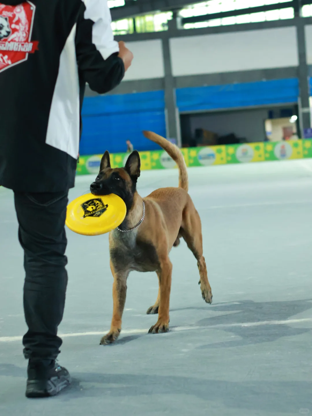 泸州宠物博览会